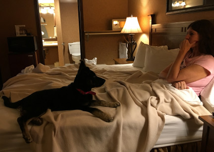 Teanna Marna Hotel Room 2017-11-16