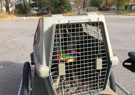 Teanna New Trailer 2017-10-21