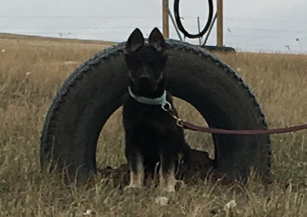 Teanna Sitting 2017-10-14