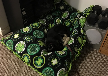 Teanna Sleeping On Pillow 2017-10-29