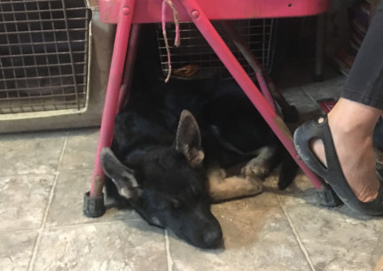 Teanna Sleeping Under Marna 2017-11-14