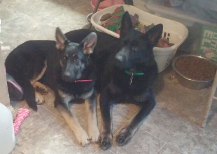 Teanna and Tabaliah 2018-02-18