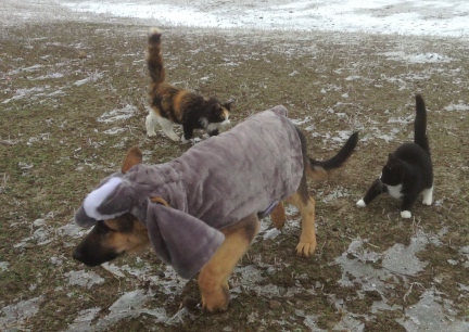 Tekoa Halloween IS Scarey!