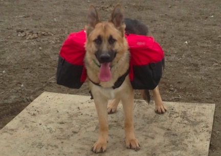 Tekoa Wenaha Dog Backpack Front 2014-03-30