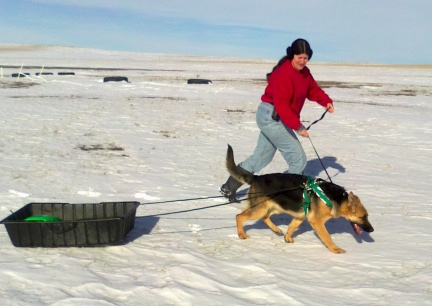 Tekoa pulling for the first time