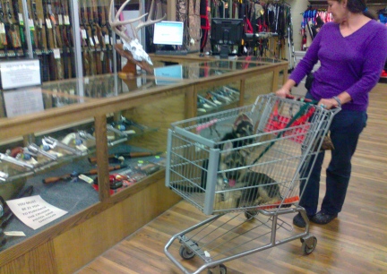 Tekoa & Titus Marna Runnings 2013-09-21