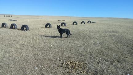 Texas Tea 2016-11-05