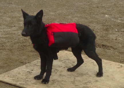 Texas Tea Wenaha Dog Backpack Side View 2014-03-30
