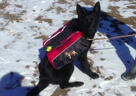 Texas Tea Backpacking with new patches on panniers 2014-02-26