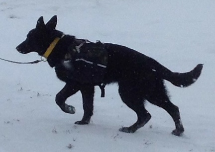 Texas Tea with Backpack (empty) 2014-01-30