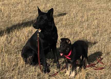 Texas Tea & Teanna 2017-10-19