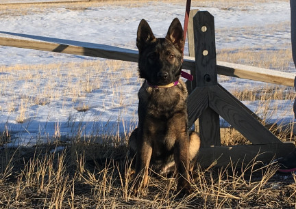 Tikuah Growth Photo 2018-01-23