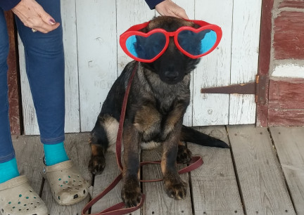 Tikuah Loves These Peoplke 2018-01-20