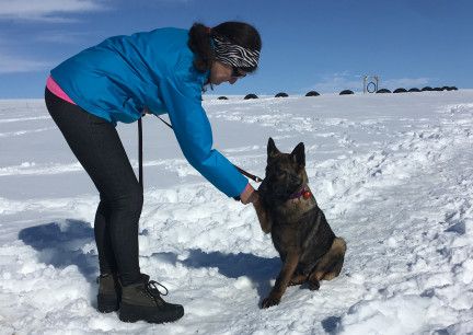 Tikuah Shake Hands 2018-03-02