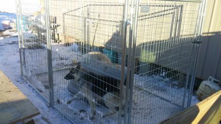 Titus New Pen 2017-01 2