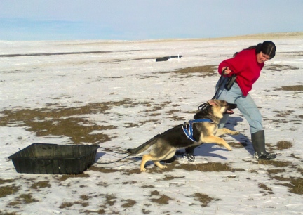 Titus Pulling for the first time