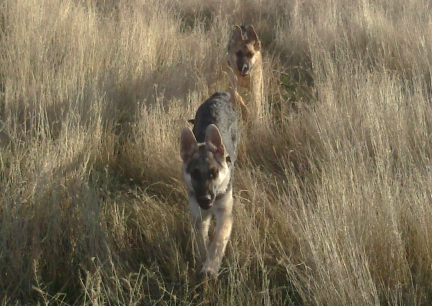 Titus Tekoa Called & Coming (taken at Larry's) 2013-11-24
