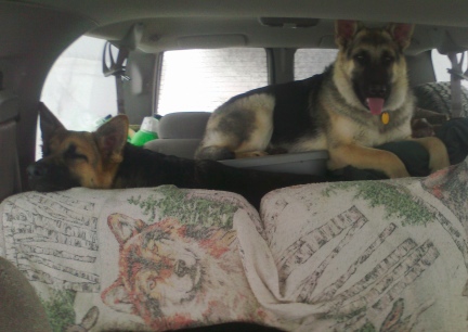 Tekoa and Titus Traveling 2014-02-08