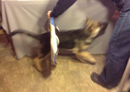  Titus Through The Covered Hoop 2013-11-09