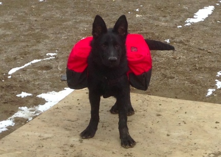 Turquoise's New Wenaha Backpack From Front 2014-03-28