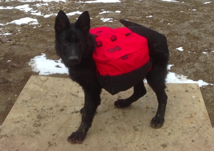  Turquoise's New Wenaha Backpack From Side  2014-03-28