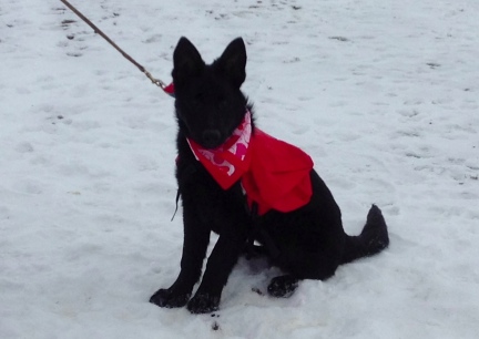 Turquoise wearing an empty Backpack for the first time