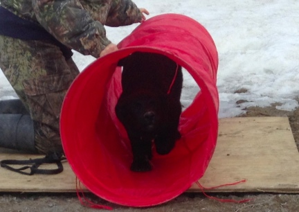 Turquoise Open Tunnel Training 2014-01-21