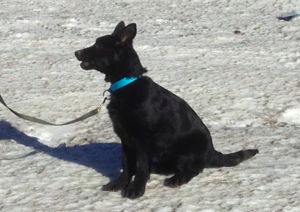 Turquoise 2014-01-28