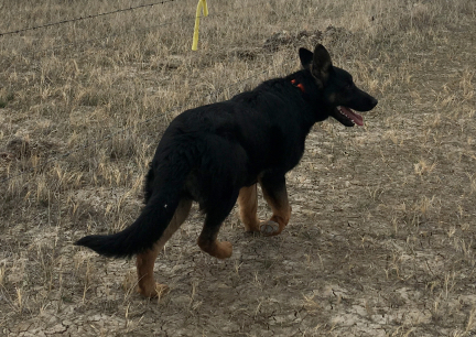 Tychicus 2 2017-03-19