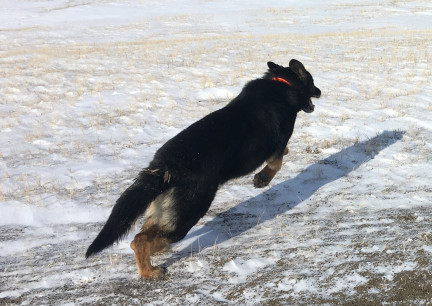 Tychicus Launching 2018-01-12