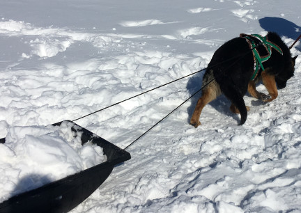 Tychicus Moving Snow 2018-02026