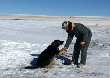 Tychicus Shake 2018-02-04