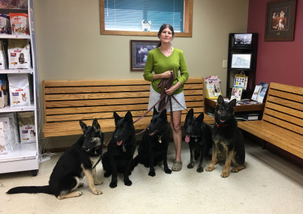 Vet Office Visit 2018-06-05 Teanna, Turquoise, Texas Tea, Tabaliah, Tychicus