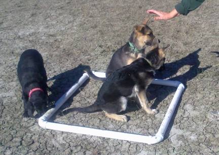 Titus & Tekoa frist time in Pause Box