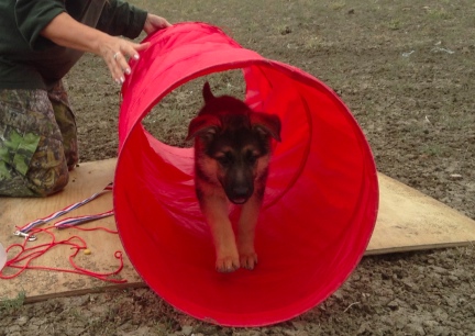 Tekoa Hoop  2013-09-14