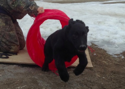 Turquoise Launches out of the Open Tunnel 2014-01-21