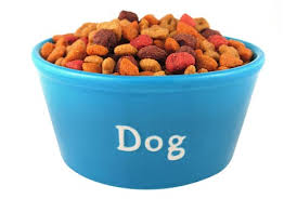 Dog Food in Bowl