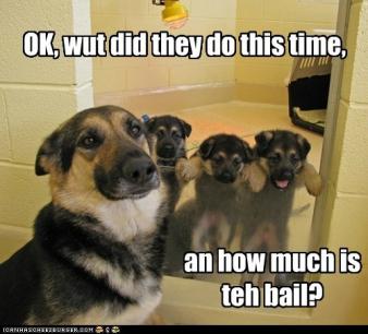 GSD Bail