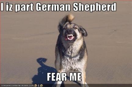 GSD Fear Me