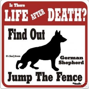 GSD Life Death