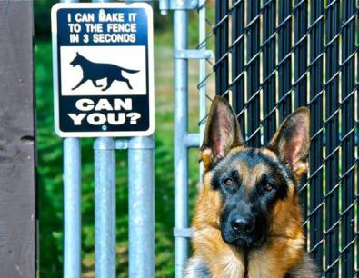 I can make it in 3 seconds - can you