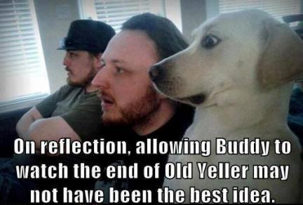 Old Yeller