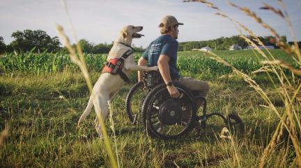 Service Dog Wheel Chair