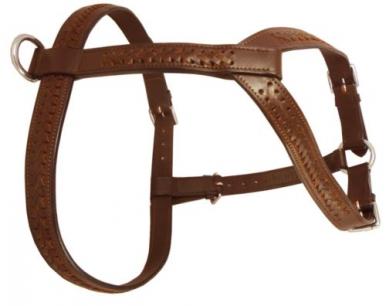 Unlined Leather Tracking Harness