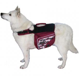 White GSD Backpcking